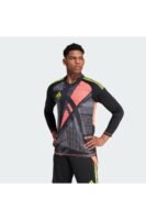ADİDAS Tiro 24 Competition Goalkeeper Erkek Forma IN0405