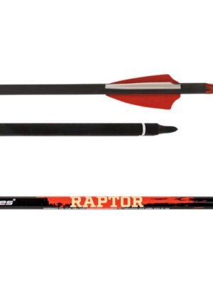 Ases Karbon Ok Raptor
