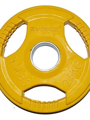 Avessa 2,5 Kg Olimpik Plaka Kauçuk Plaka MB 12111
