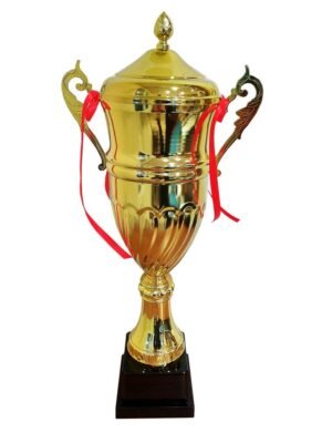 Avessa 3008-C Kapaklı Kupa 47 cm