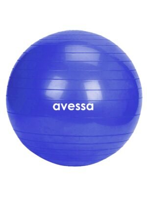 Avessa Bpt-75 Pilates Topu 75 Cm Mavi