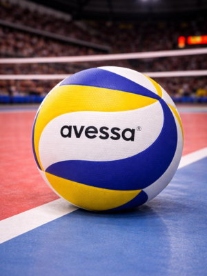 Avessa Yapıştırmalı Voleybol Topu Vlb-6000