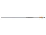 Easton Alüminyum Ok Gövdesi Xx75 Platinum Plus