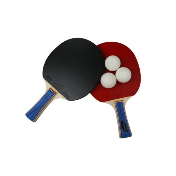 Reactor Masa Tenisi Raket Seti RTR-99 5 Yıldız ITTF Onaylı