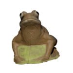Srt 3D Hedef Frog